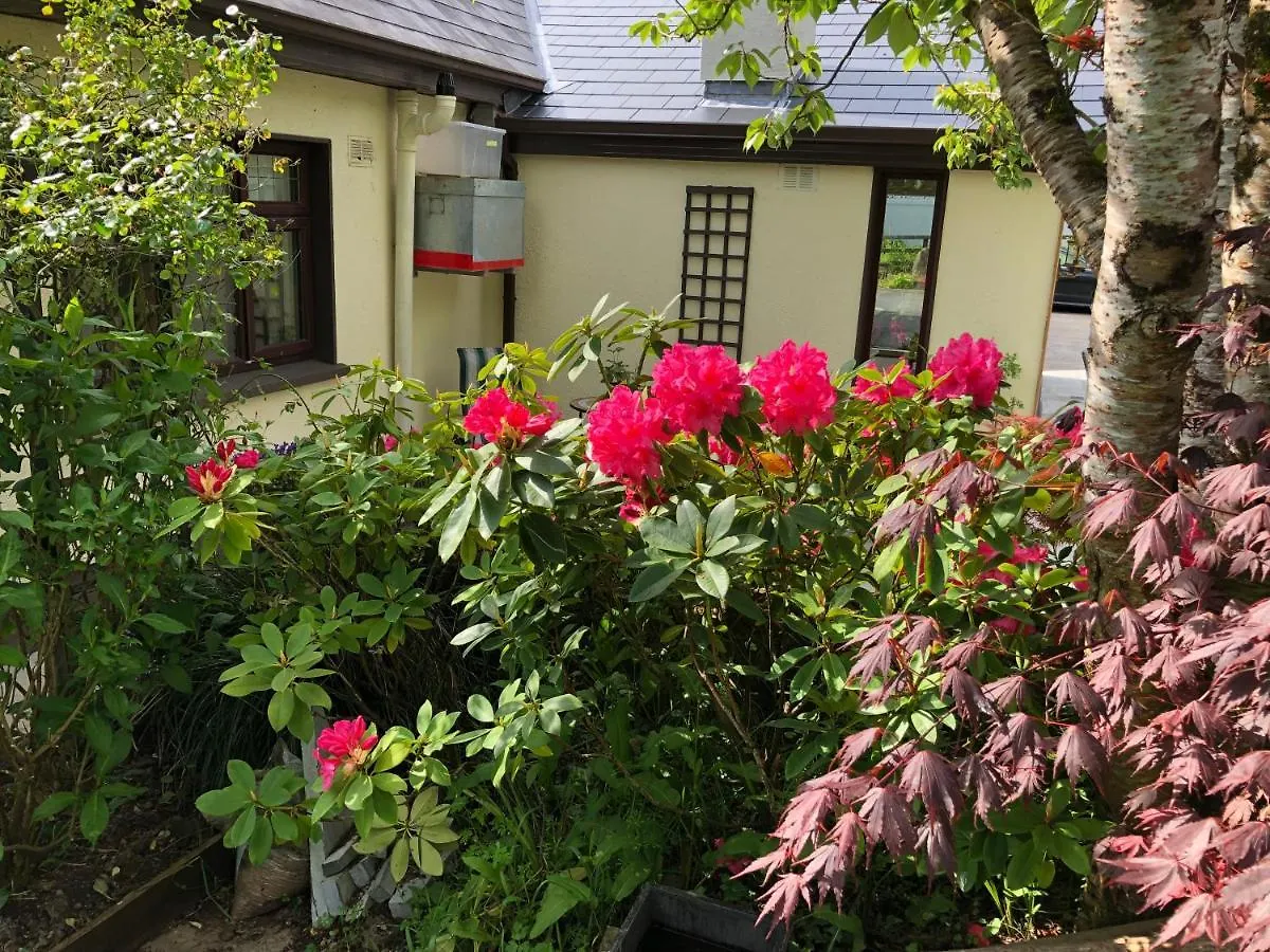 Dunaree Bed And Breakfast Bunratty 4*,
