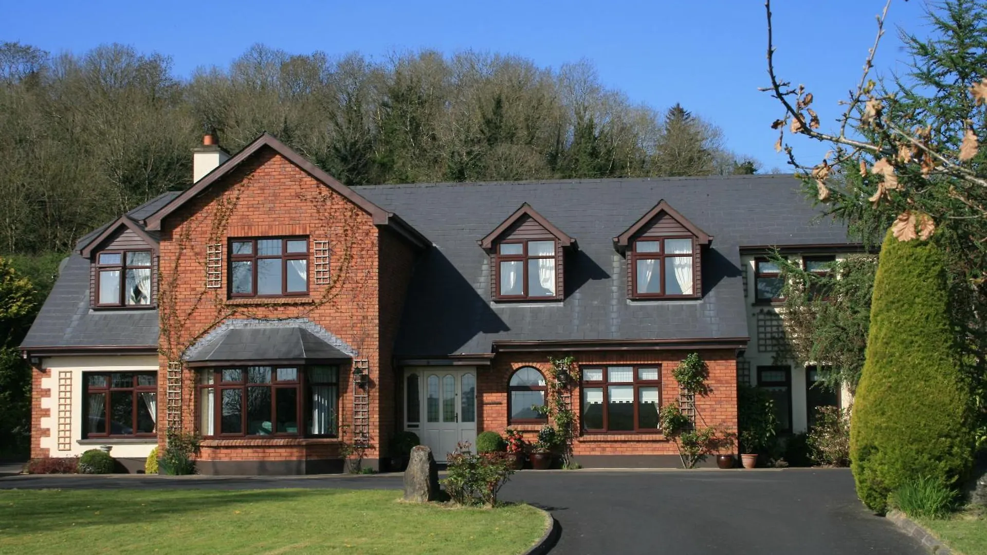 Dunaree Bed And Breakfast Bunratty Couette-café