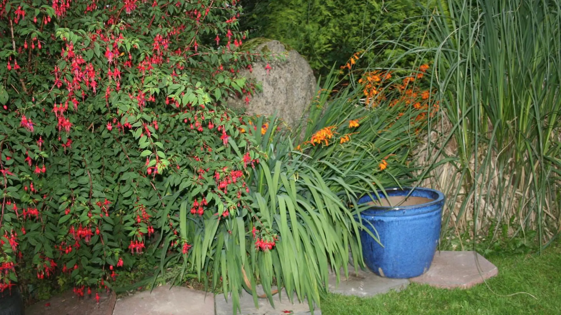 Dunaree Bed And Breakfast Bunratty Couette-café