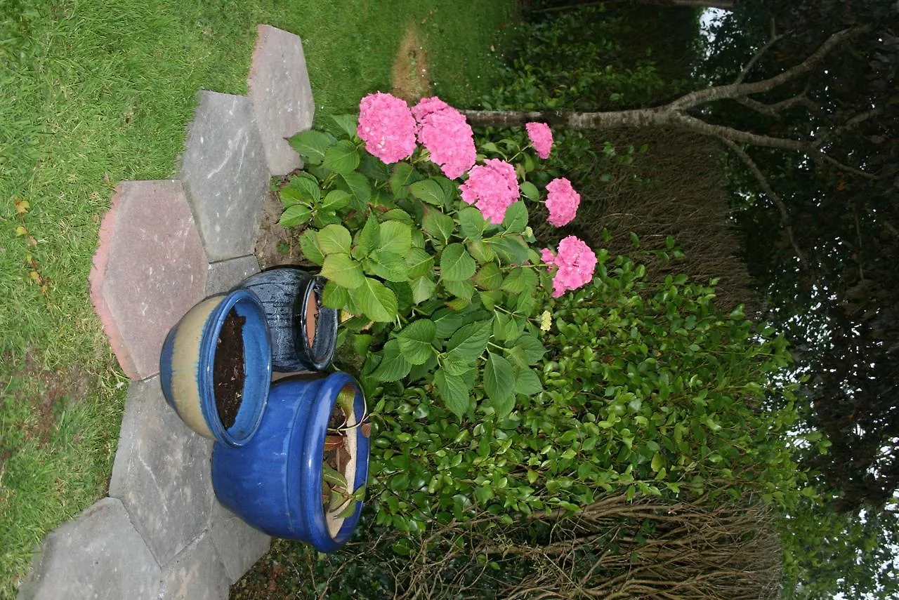 **** Couette-café Dunaree Bed And Breakfast Bunratty Irlande